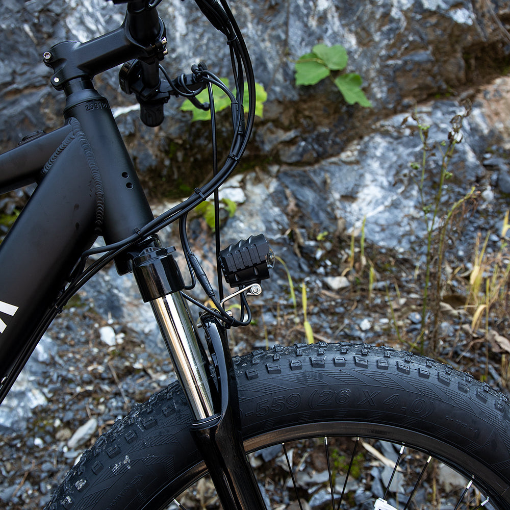 Fat Tire Electric Mountain Bike 1000W 26 Inch
