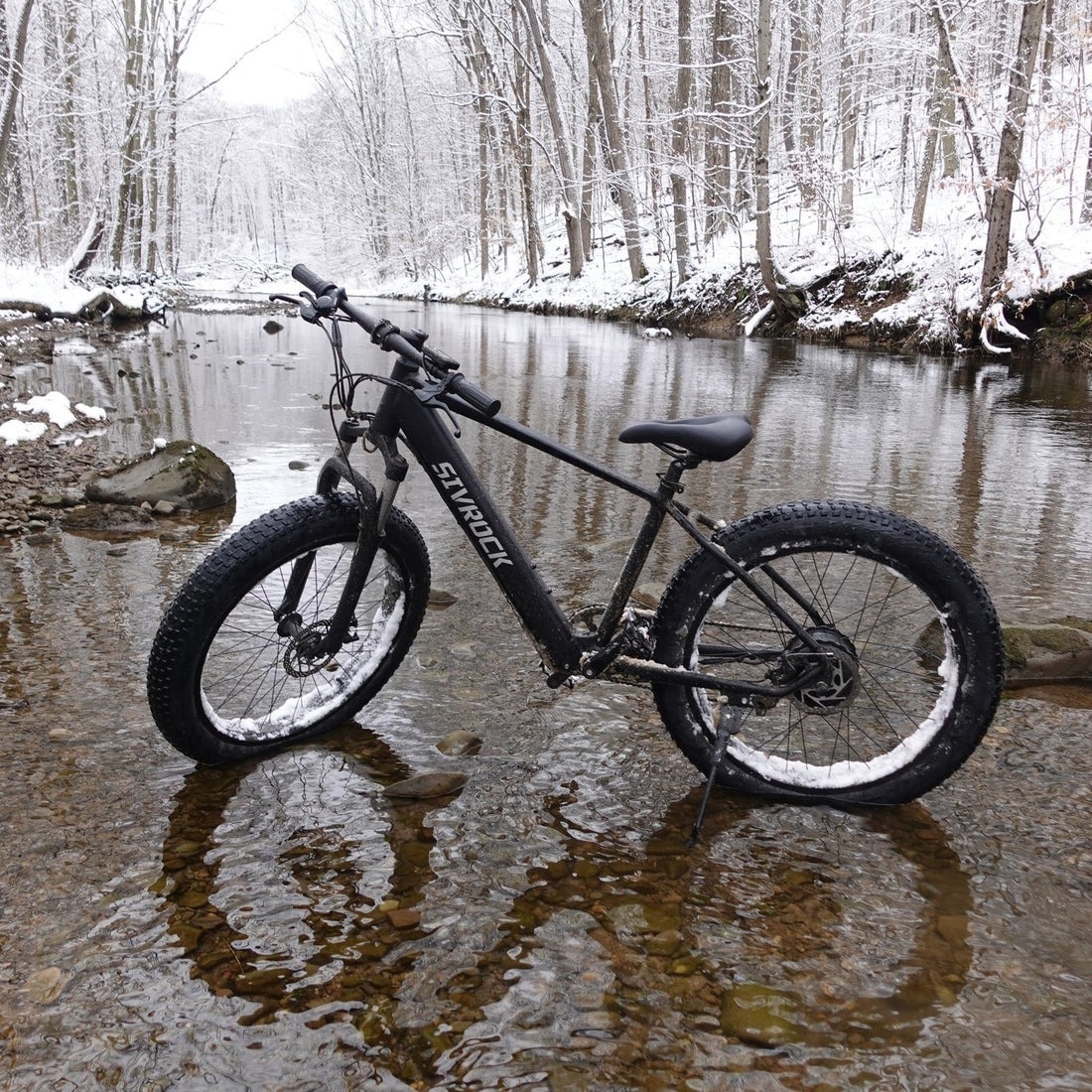 Fat Tire Electric Mountain Bike 1000W 26 Inch