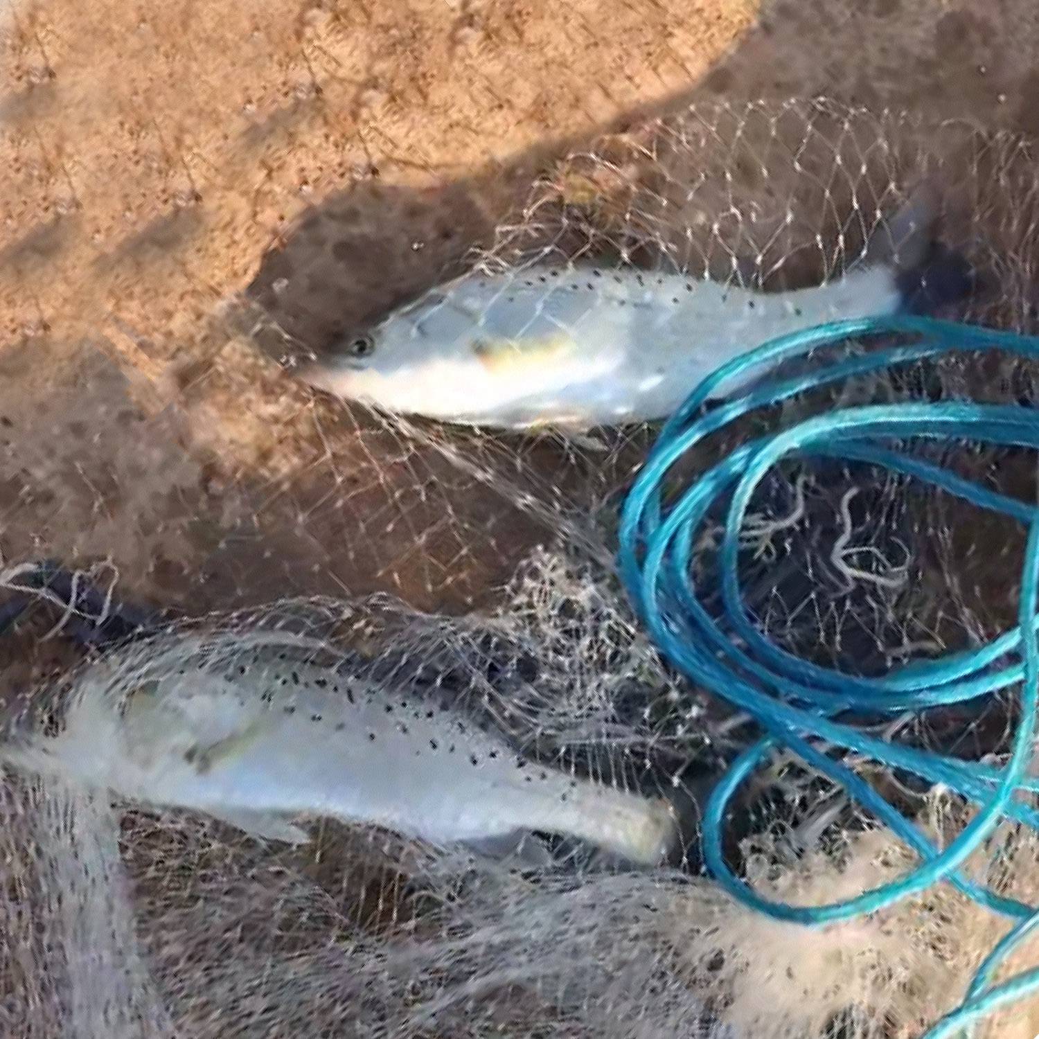 Heavy Duty 6Ft 8Ft Fishing Cast Net Chain Sinker