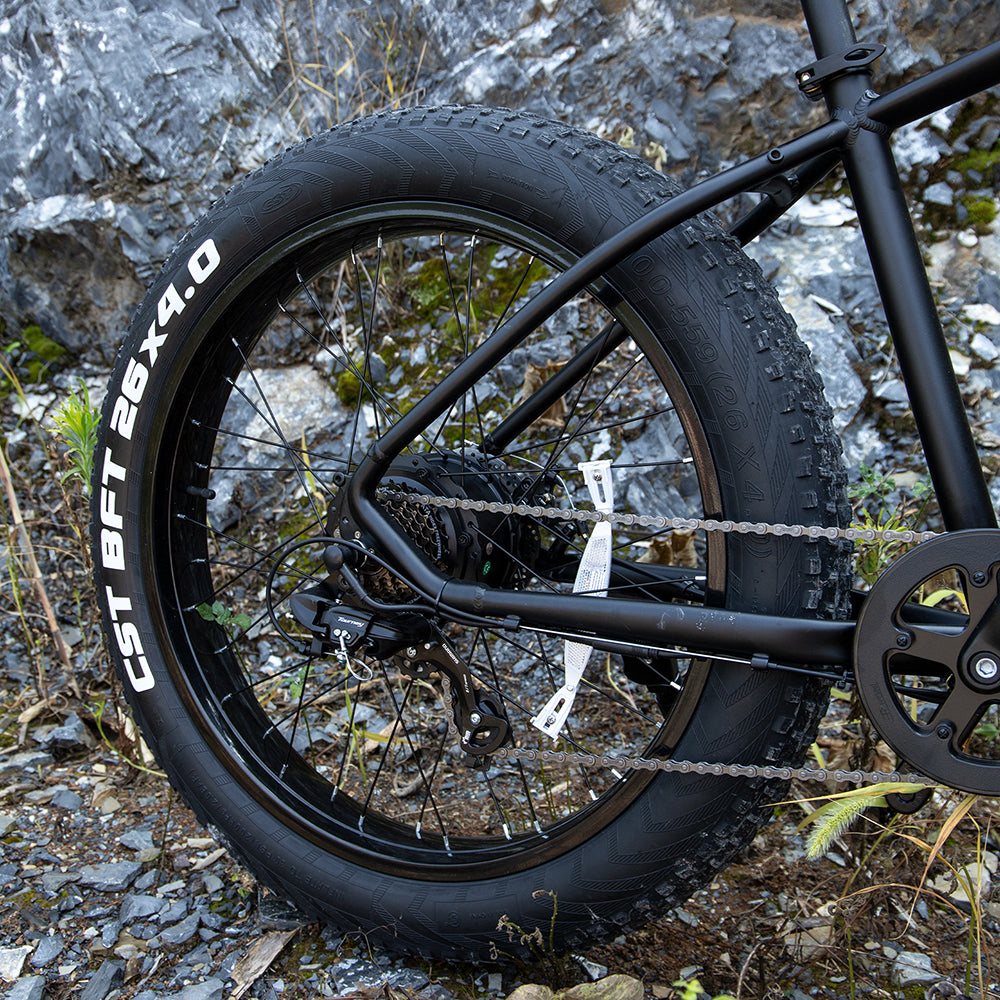 Fat Tire Electric Mountain Bike 1000W 26 Inch